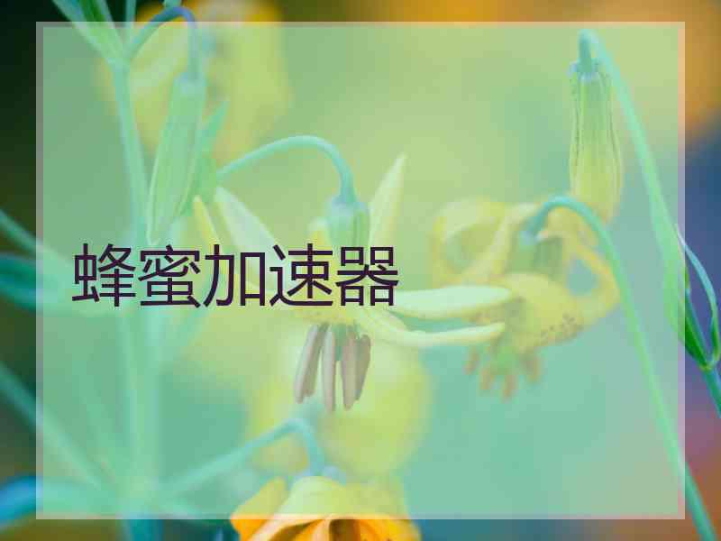 蜂蜜加速器