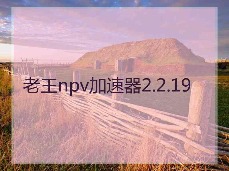 老王npv加速器2.2.19