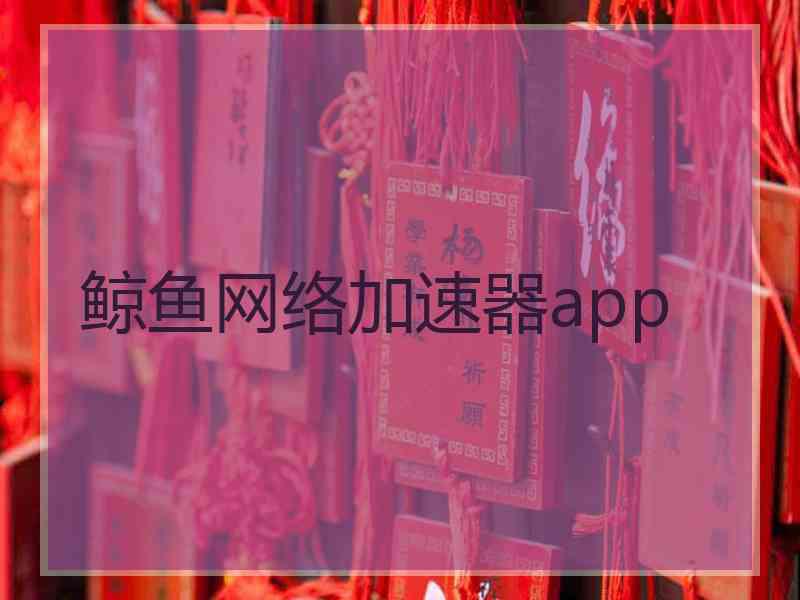 鲸鱼网络加速器app