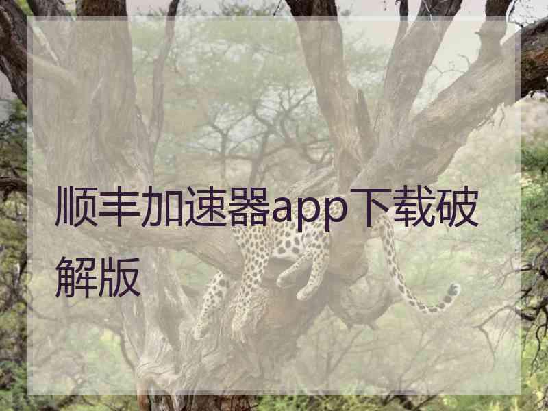 顺丰加速器app下载破解版