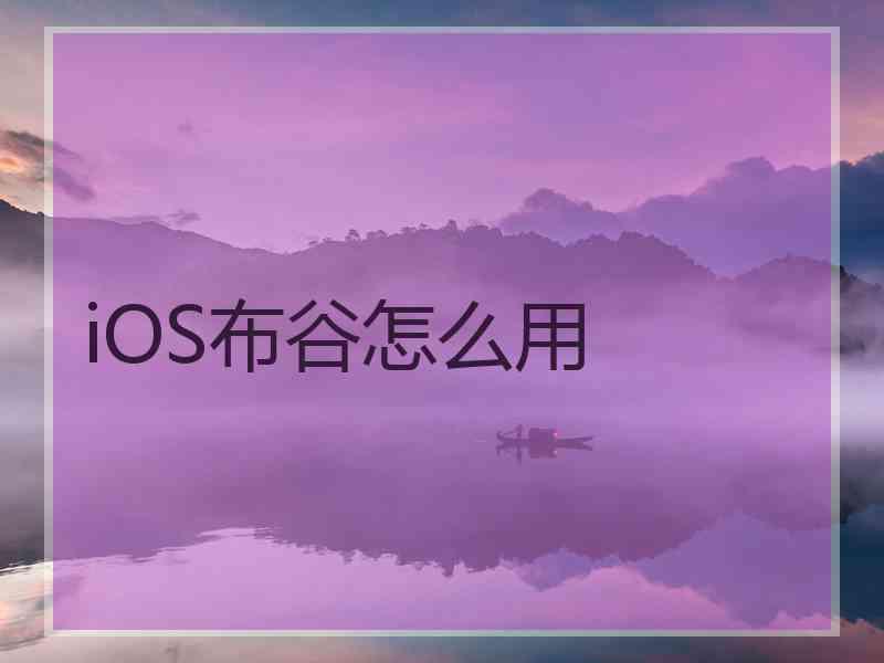 iOS布谷怎么用