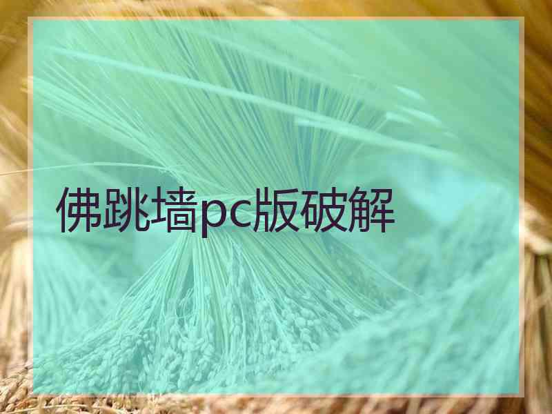 佛跳墙pc版破解