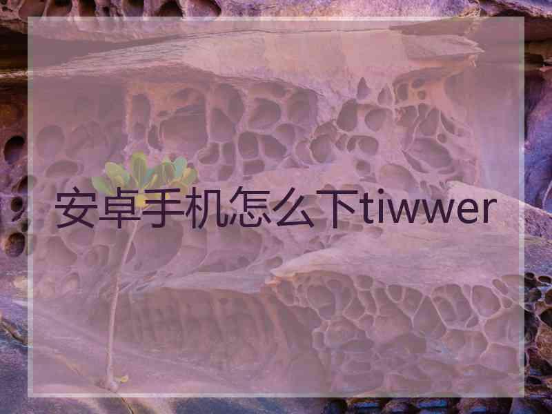 安卓手机怎么下tiwwer