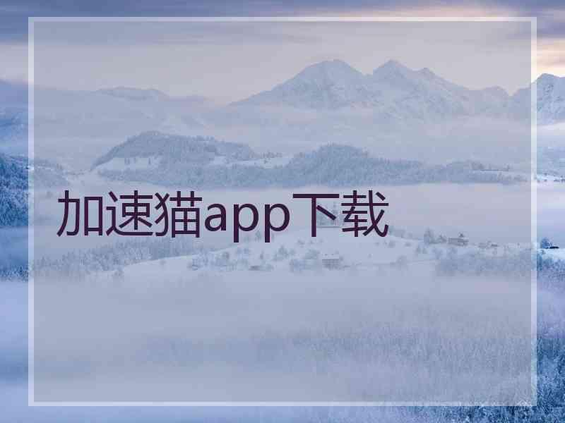 加速猫app下载