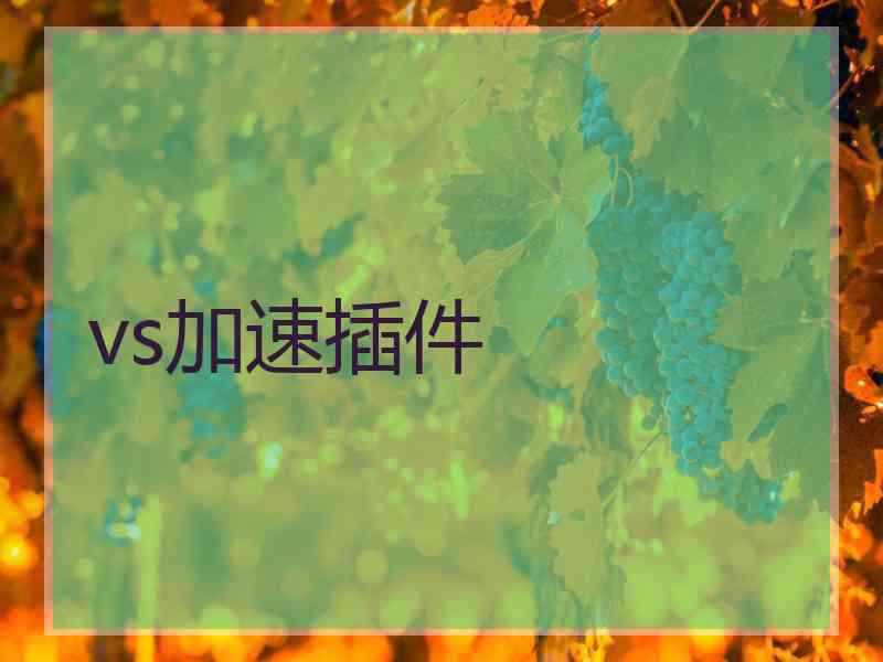 vs加速插件