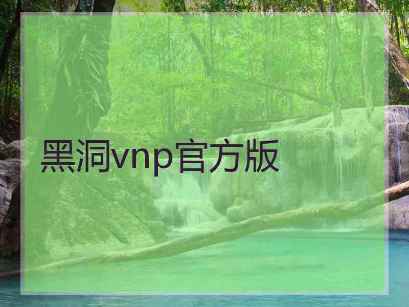 黑洞vnp官方版