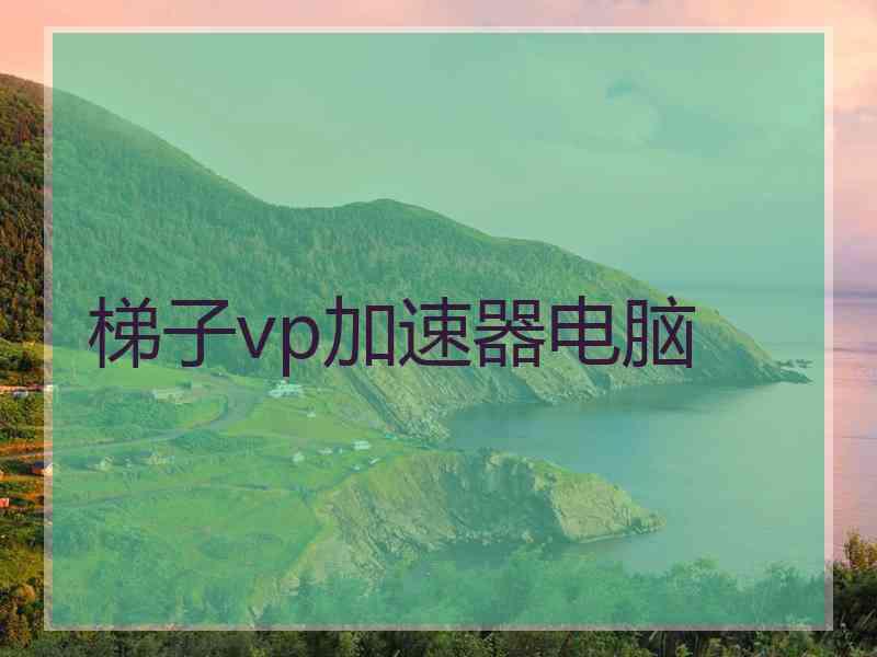 梯子vp加速器电脑