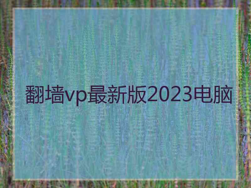 翻墙vp最新版2023电脑