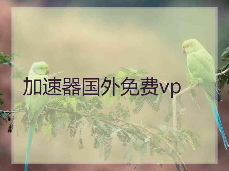 加速器国外免费vp