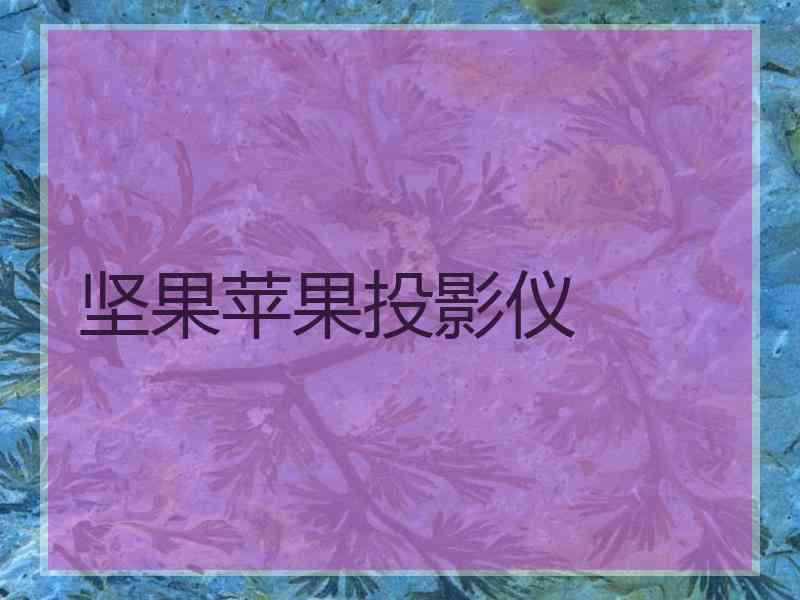 坚果苹果投影仪