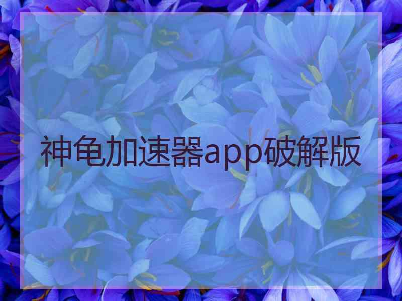 神龟加速器app破解版