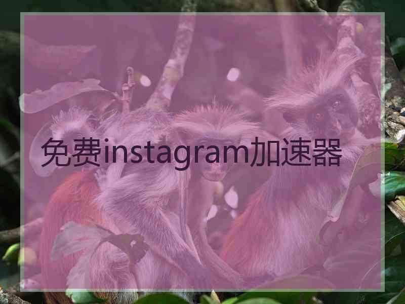 免费instagram加速器