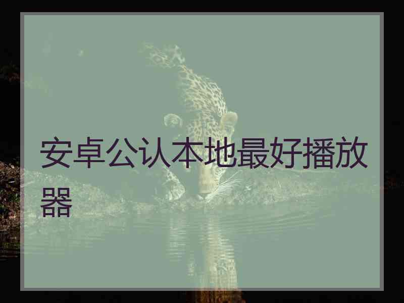 安卓公认本地最好播放器