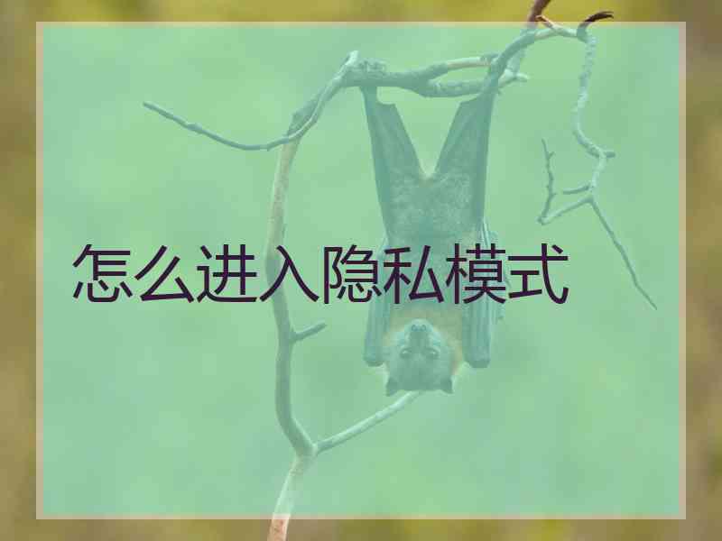 怎么进入隐私模式