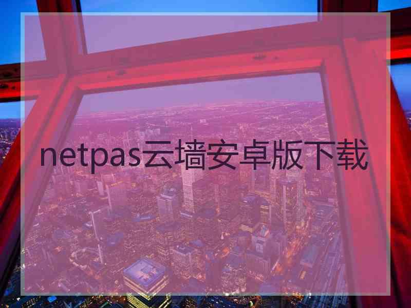 netpas云墙安卓版下载