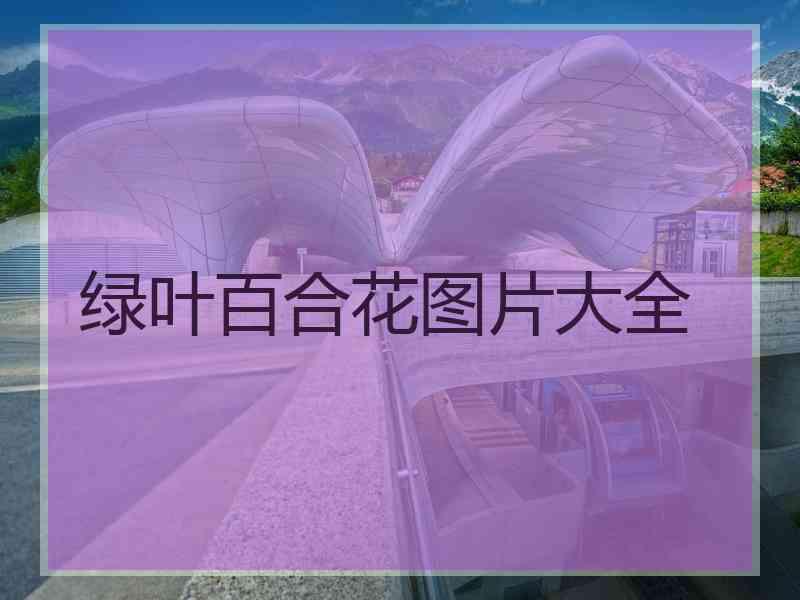 绿叶百合花图片大全