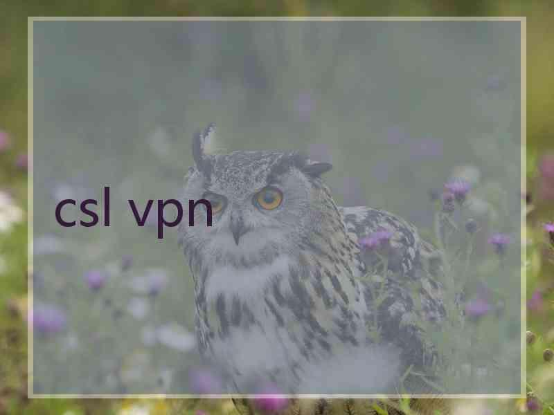 csl vpn