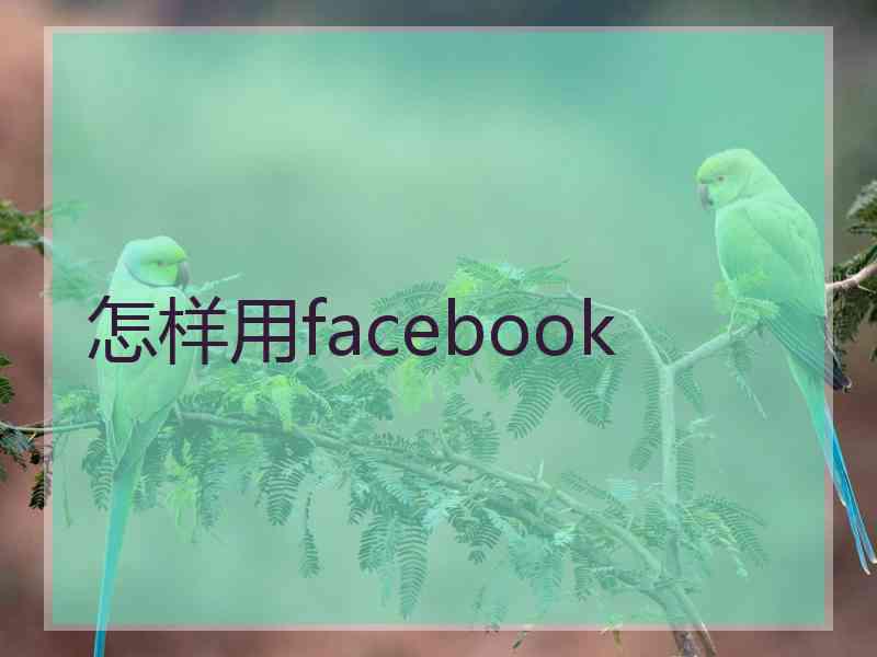 怎样用facebook