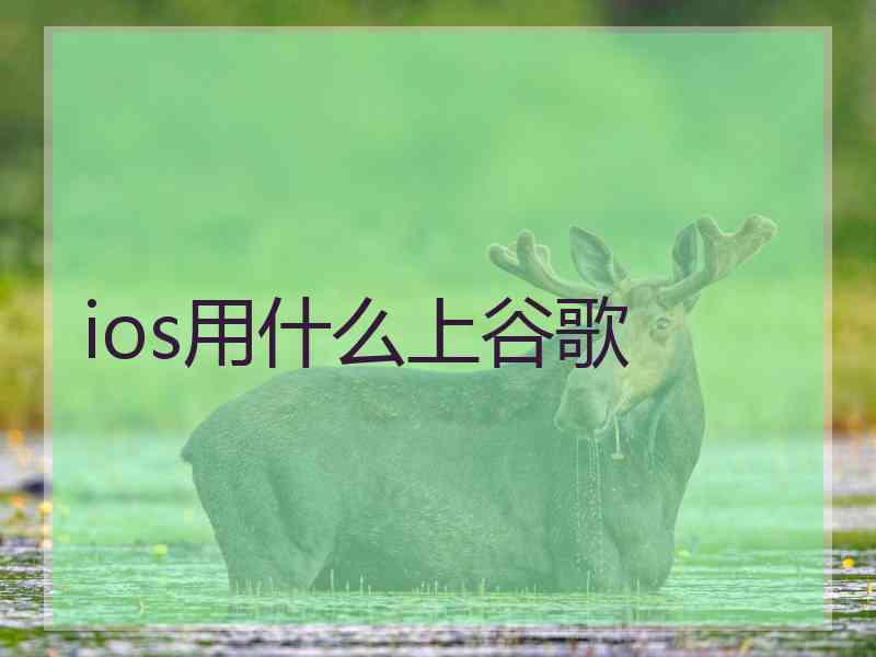 ios用什么上谷歌