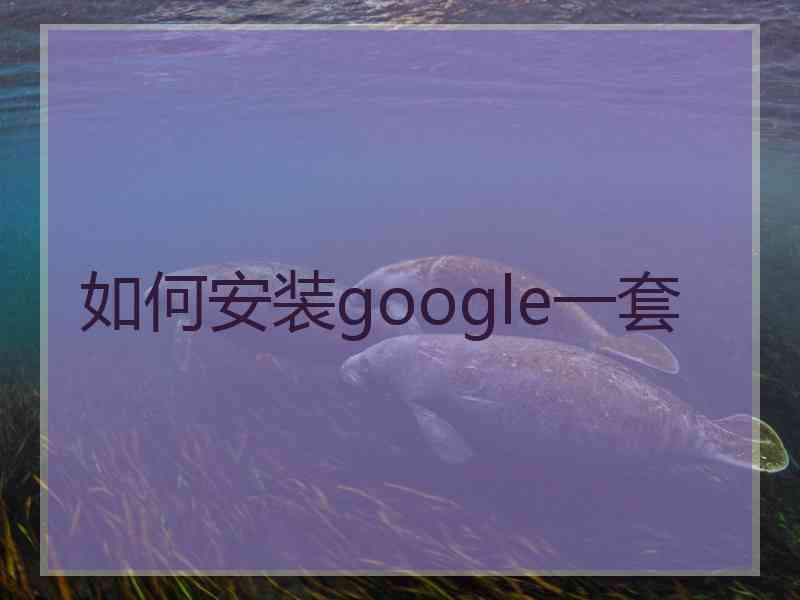 如何安装google一套