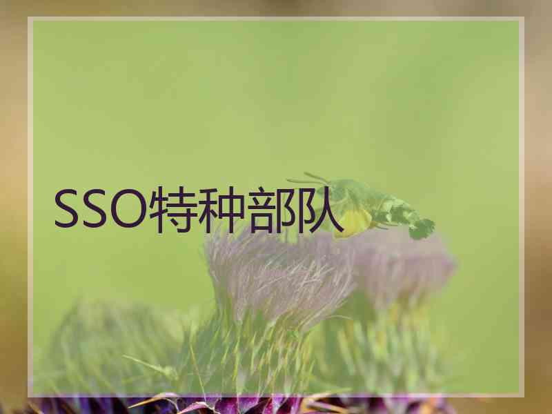 SSO特种部队