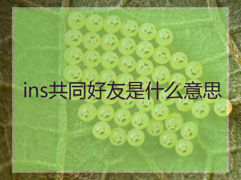 ins共同好友是什么意思