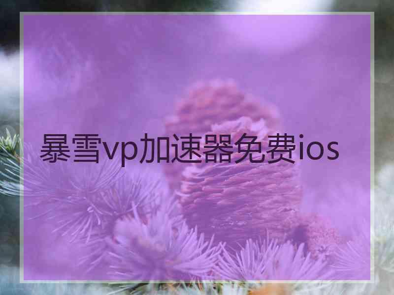 暴雪vp加速器免费ios