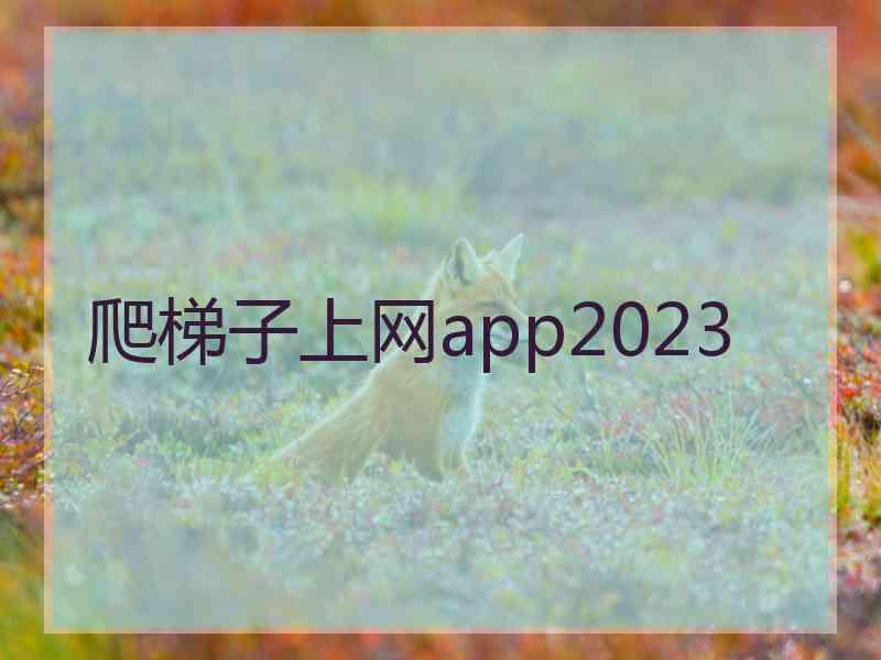 爬梯子上网app2023