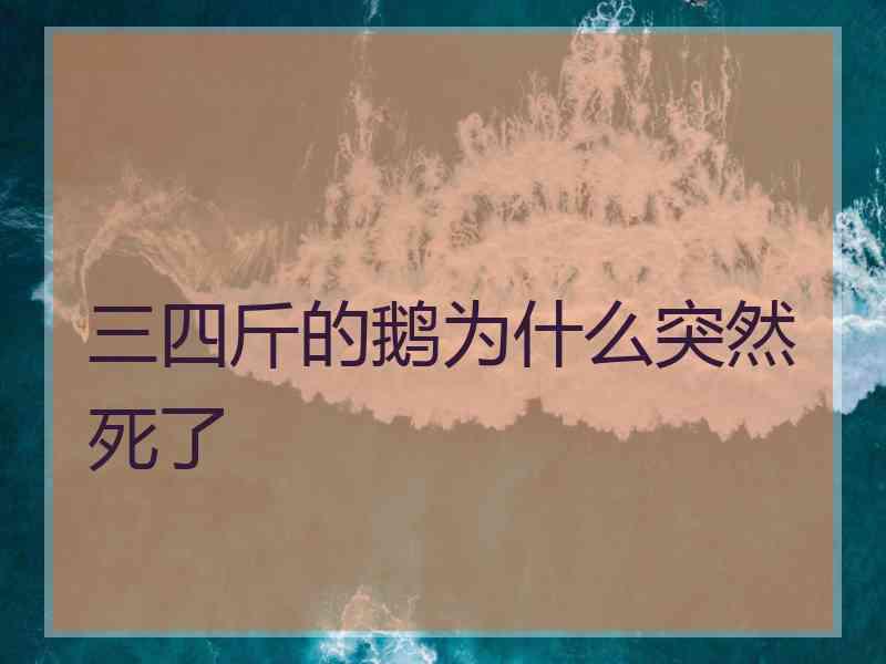 三四斤的鹅为什么突然死了