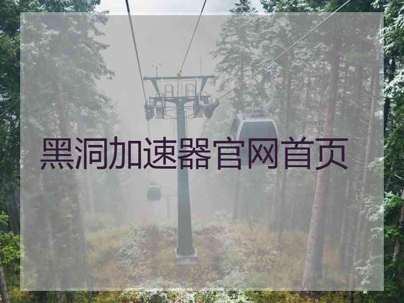 黑洞加速器官网首页