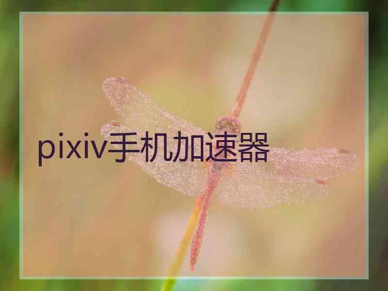 pixiv手机加速器