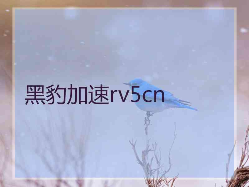 黑豹加速rv5cn