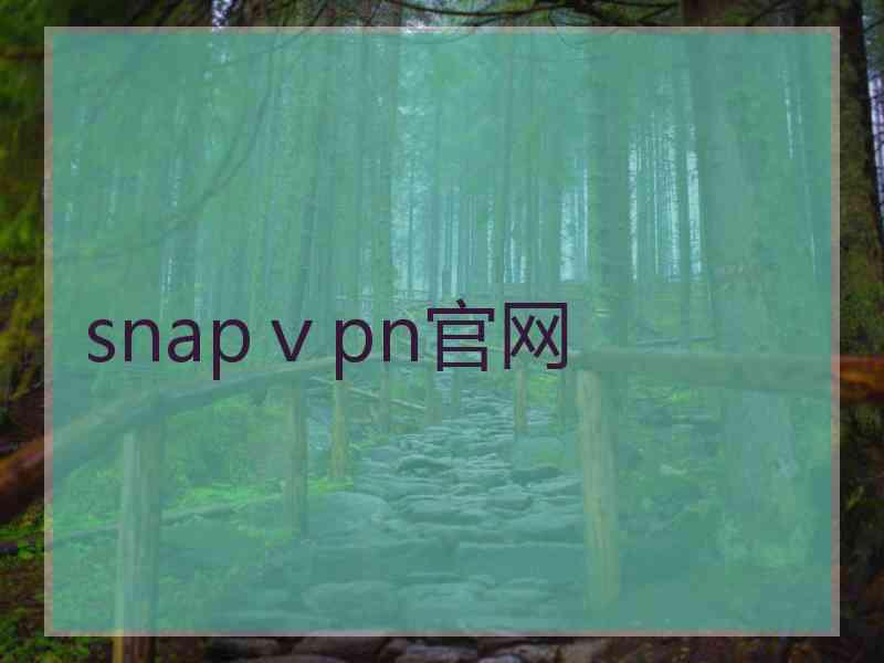 snapⅴpn官网