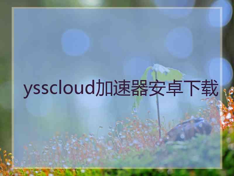 ysscloud加速器安卓下载