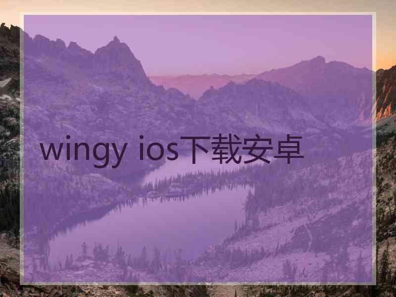 wingy ios下载安卓