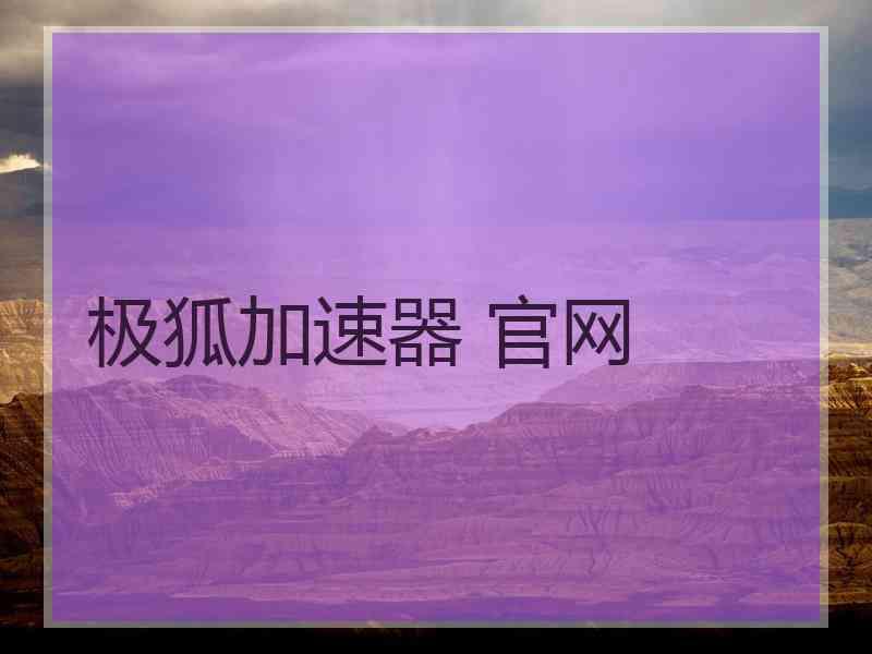 极狐加速器 官网