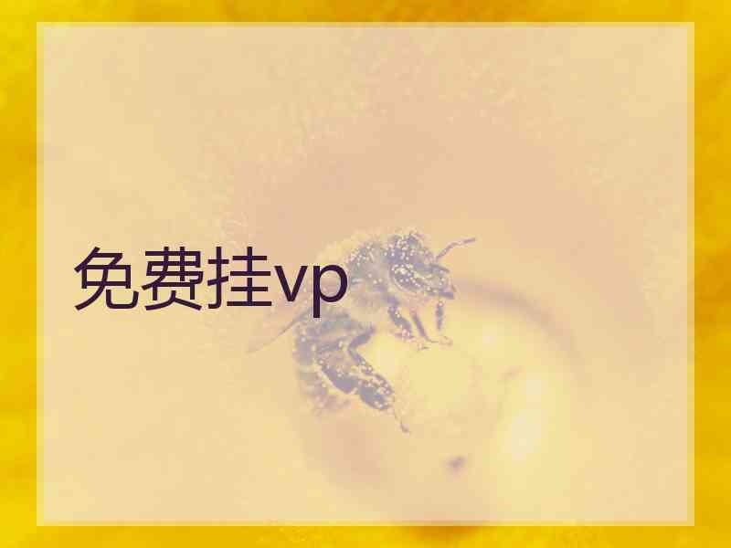 免费挂vp