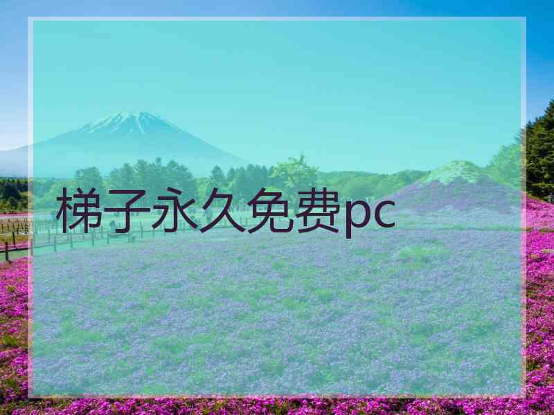 梯子永久免费pc