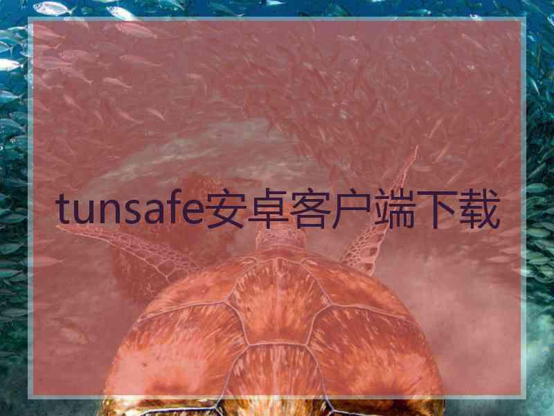 tunsafe安卓客户端下载