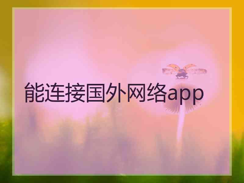 能连接国外网络app