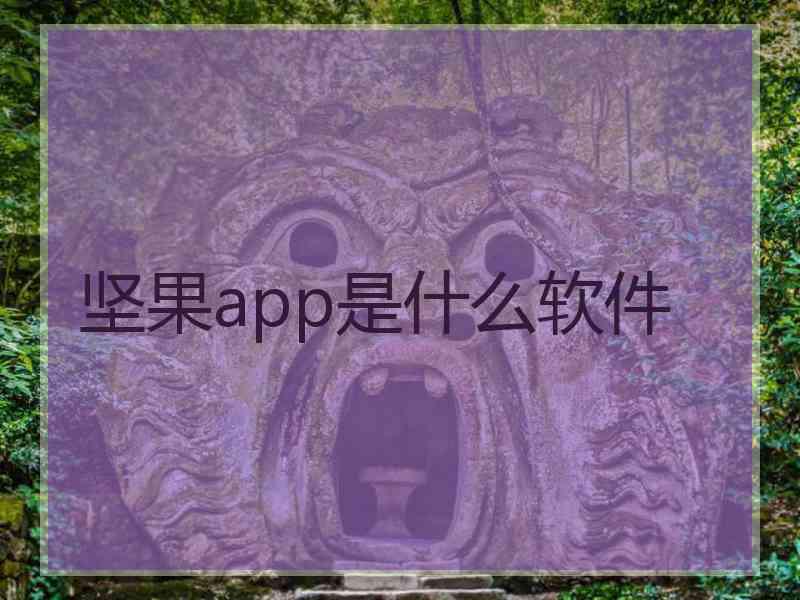 坚果app是什么软件