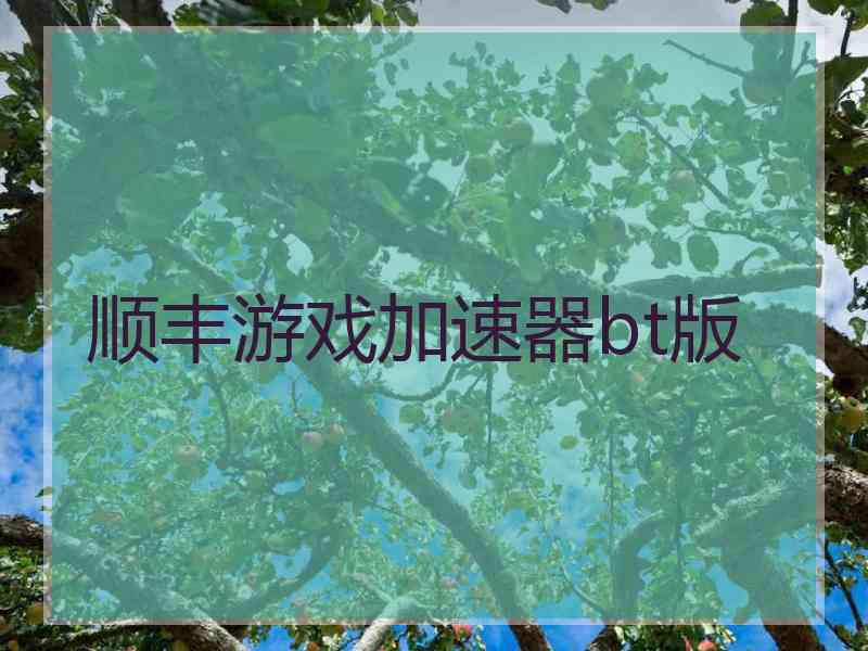 顺丰游戏加速器bt版