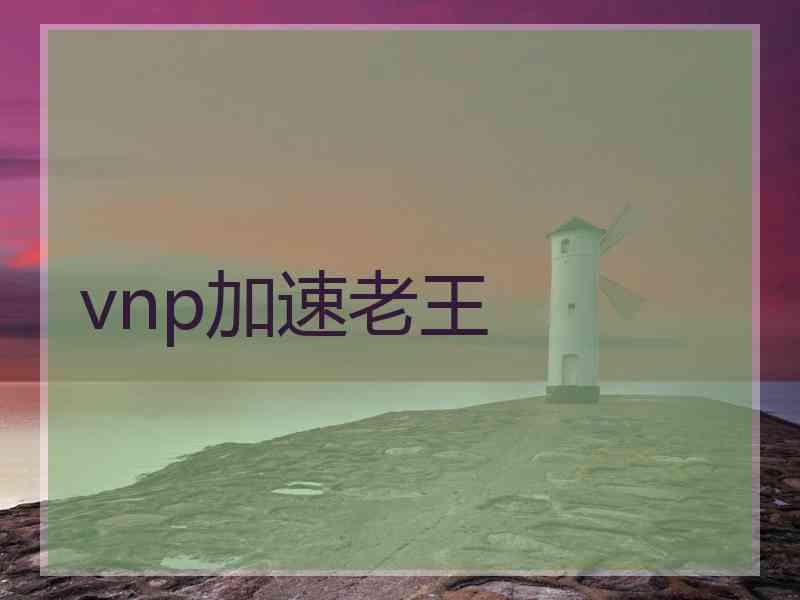 vnp加速老王