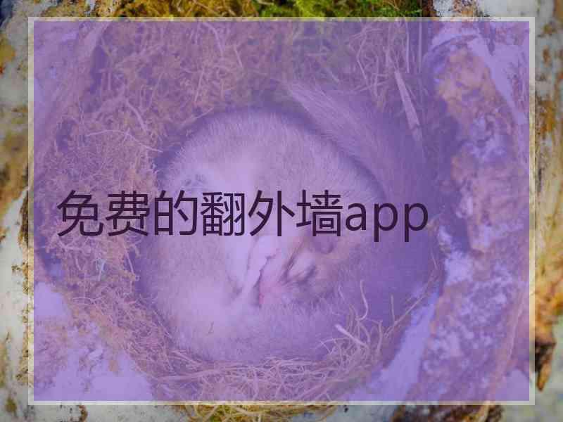 免费的翻外墙app