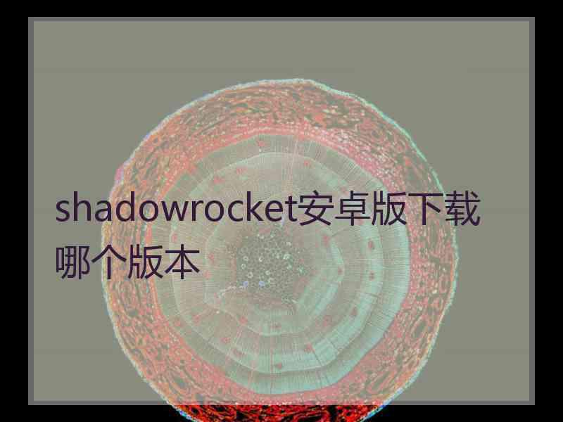 shadowrocket安卓版下载哪个版本