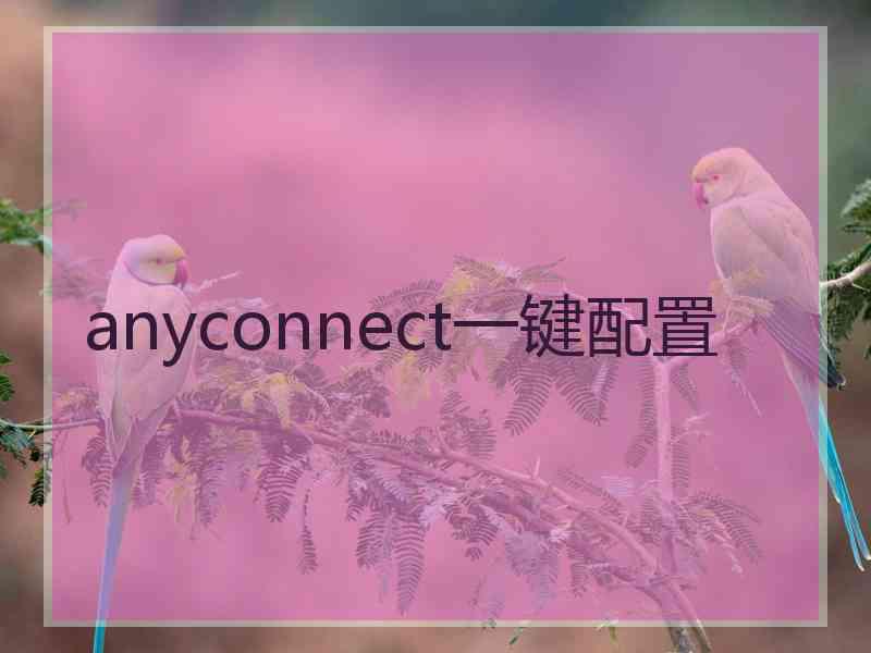 anyconnect一键配置