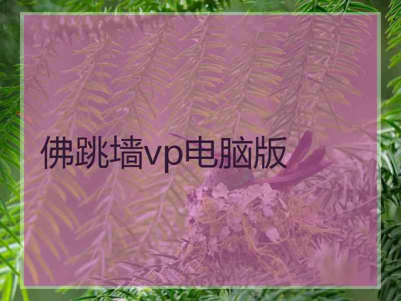 佛跳墙vp电脑版