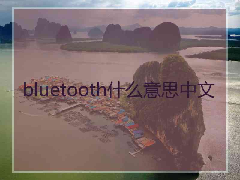 bluetooth什么意思中文